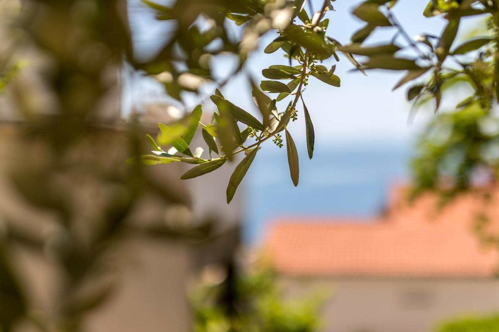 Apartments With A Parking Space Baska Voda, Makarska - 301 Esterno foto